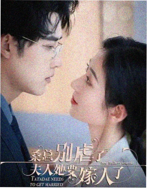 雾港谜案 在线影院热播悬疑剧集